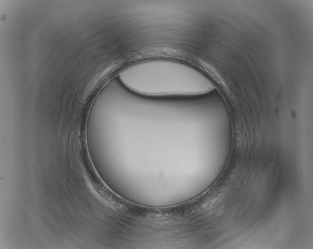 X0000062630538200512210941