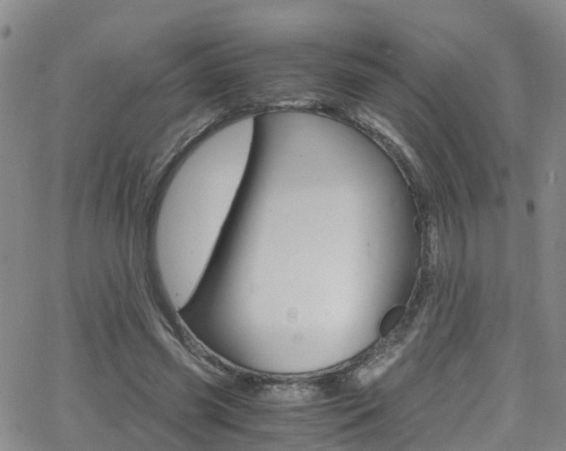 X0000062630541200512210941