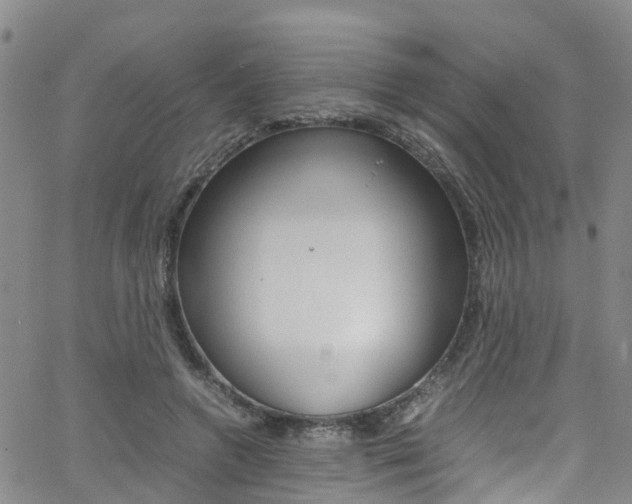 X0000062630546200512210941