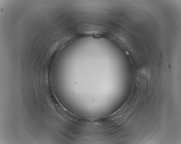 X0000062630547200512210941