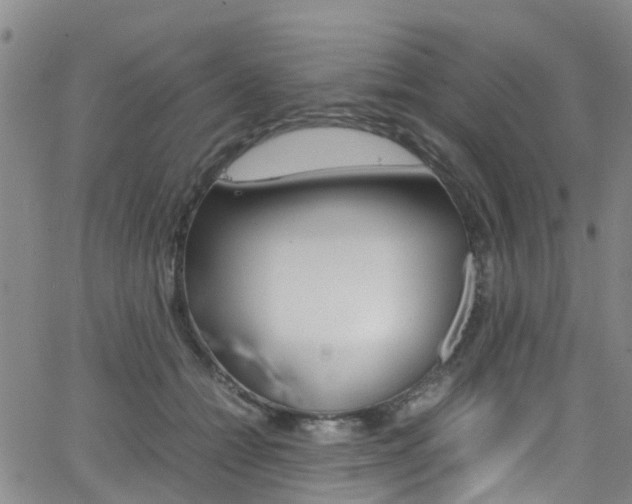 X0000062630558200512210941