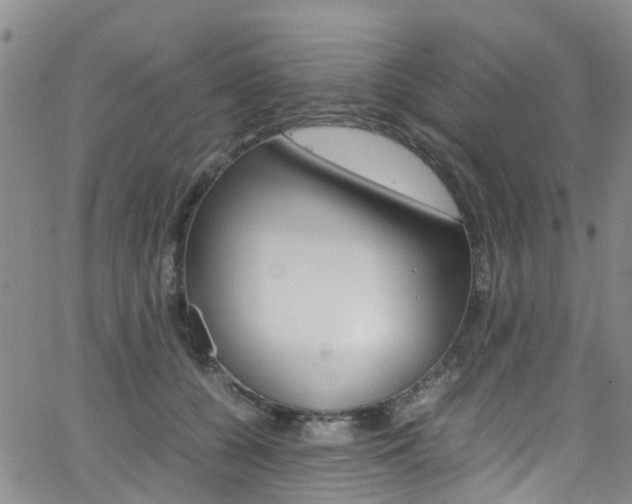 X0000062630560200512210941
