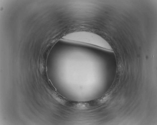 X0000062630566200512210941