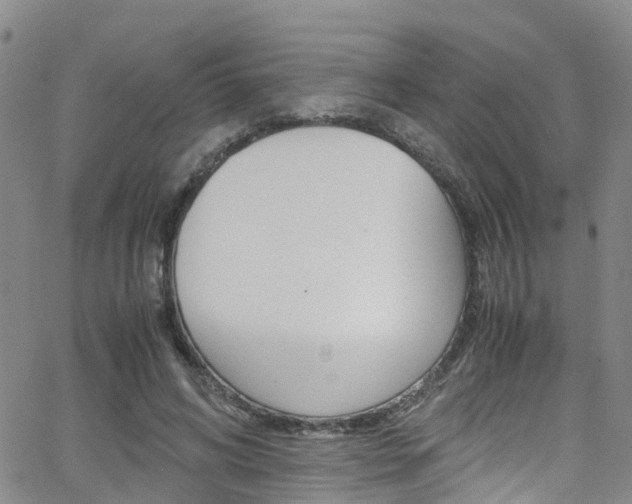 X0000062630592200512210940