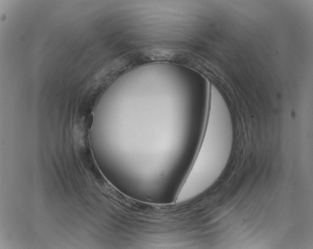 X0000062630604200512210940