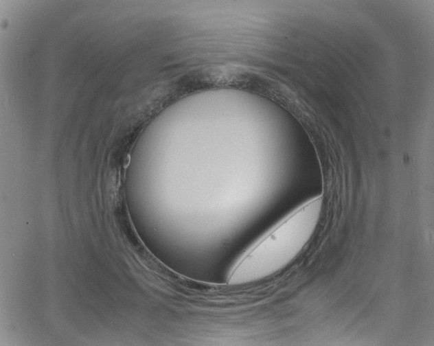X0000062630605200512210940