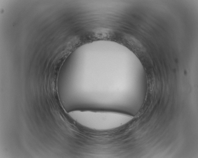 X0000062630606200512210940