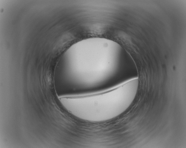 X0000062630608200512210940