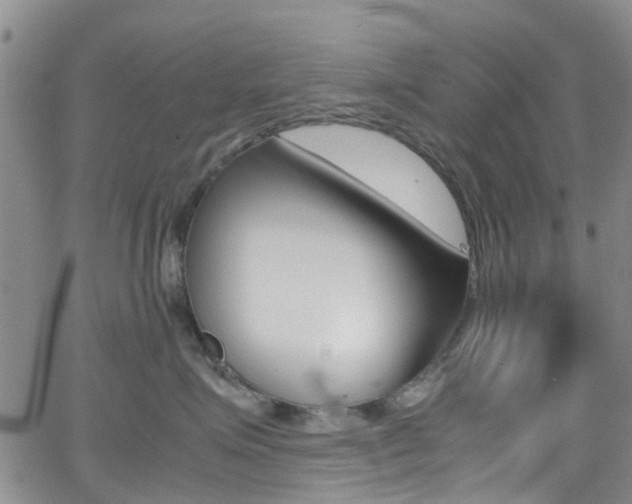 X0000062630623200512210940