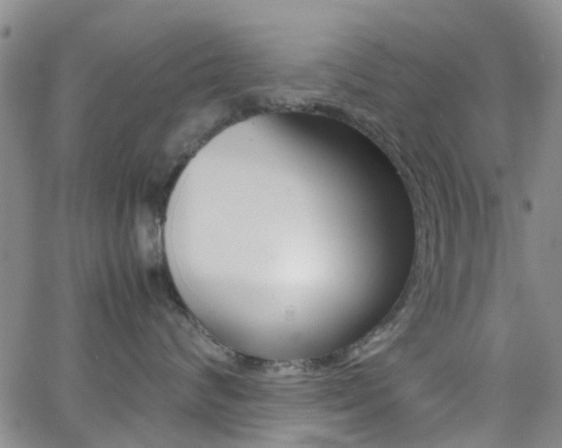X0000062630624200512210940
