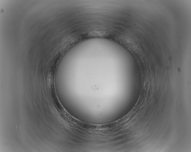 X0000062630647200512210939