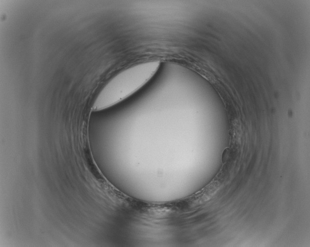 X0000062630650200512210939