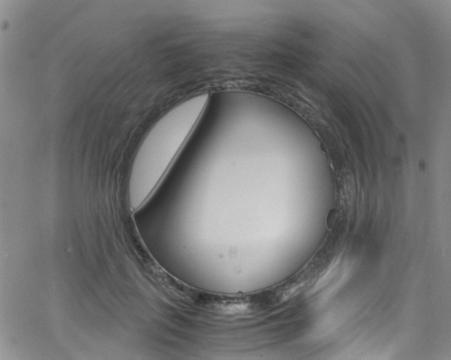 X0000062630651200512210939