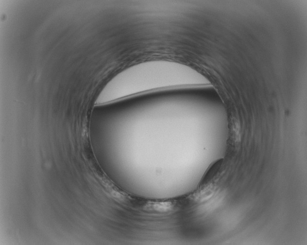 X0000062630665200512210940