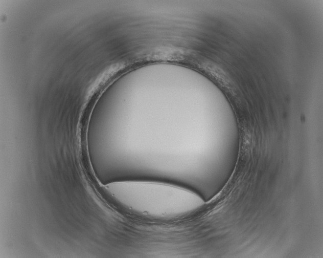 X0000062630678200512210939