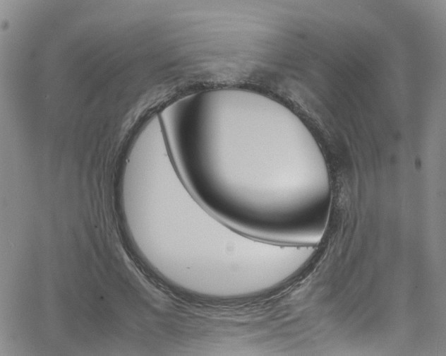 X0000062630685200512210939