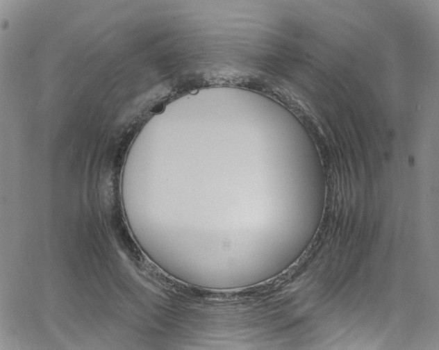 X0000062630690200512210939
