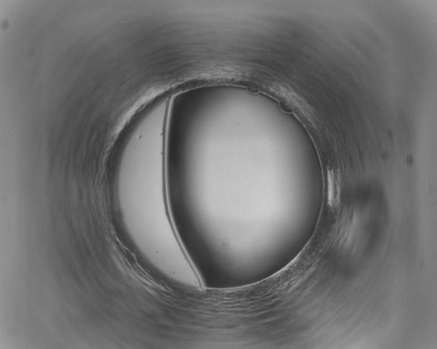 X0000062630723200512210937