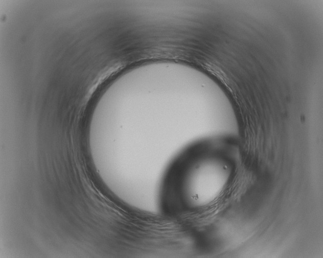 X0000062630731200512210937