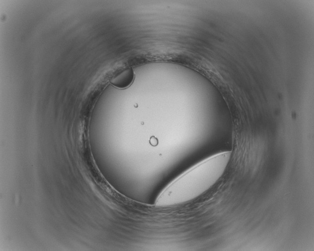 X0000062630742200512210938