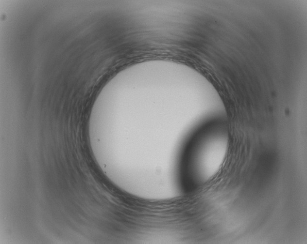 X0000062630750200512210938