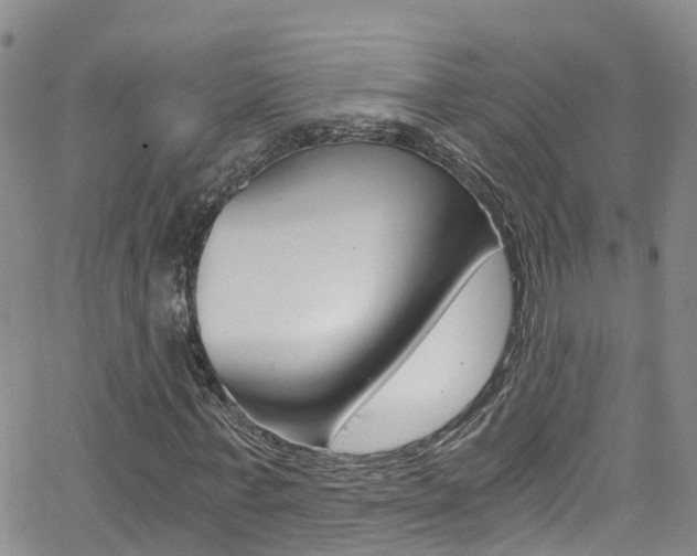 X0000062630771200512210937