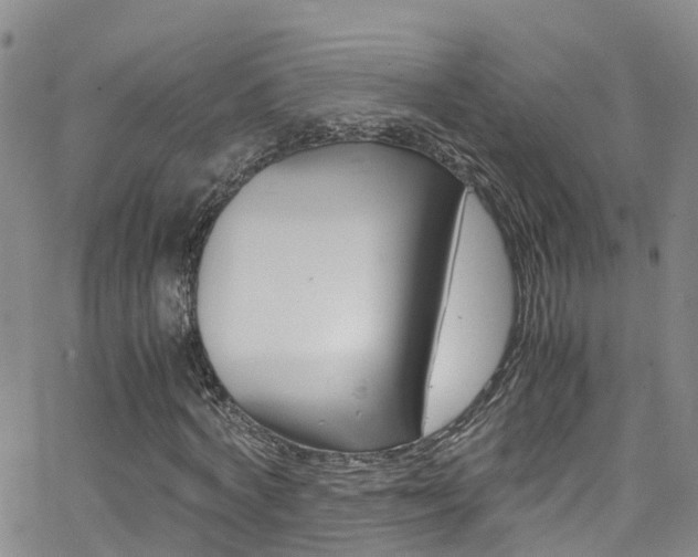 X0000062630772200512210937