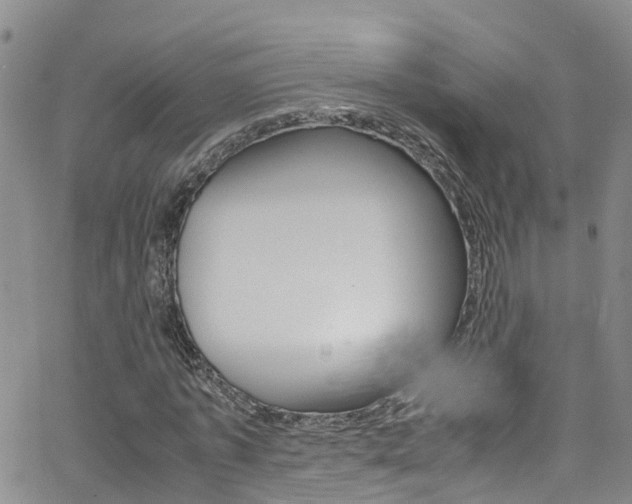 X0000062630773200512210937