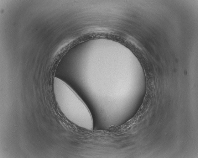 X0000062630775200512210937
