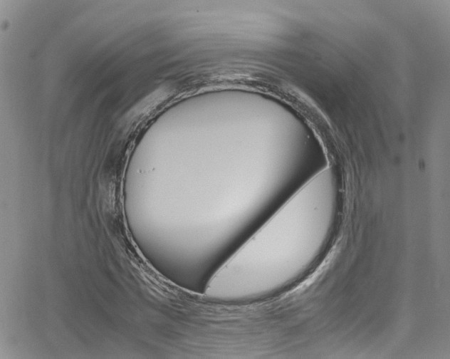 X0000062630777200512210937