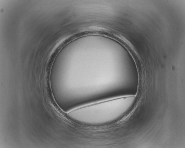 X0000062630783200512210937