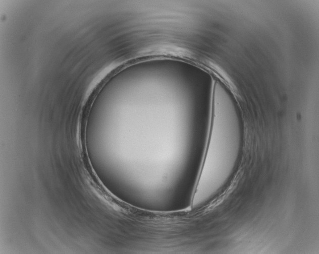 X0000062630788200512210937