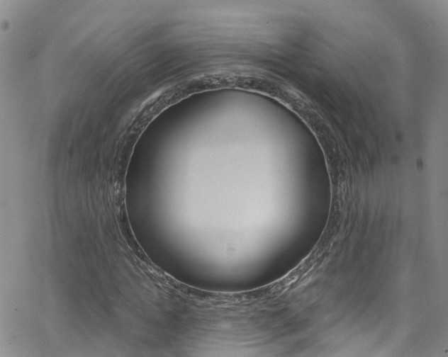 X0000062630822200512210936