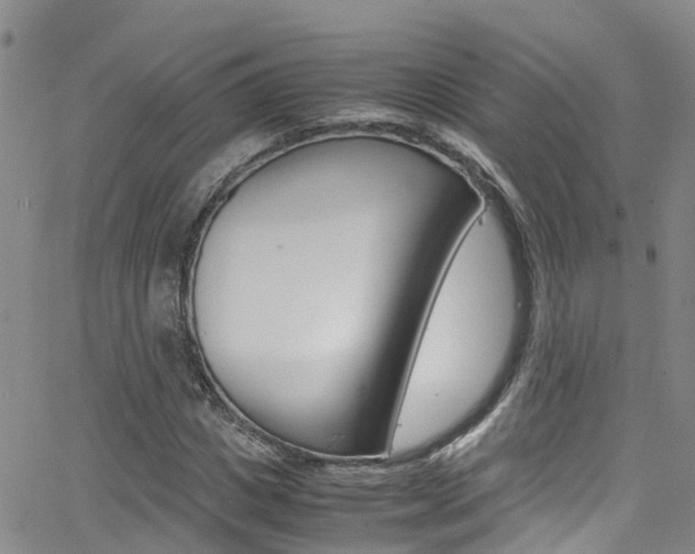 X0000062630825200512210936