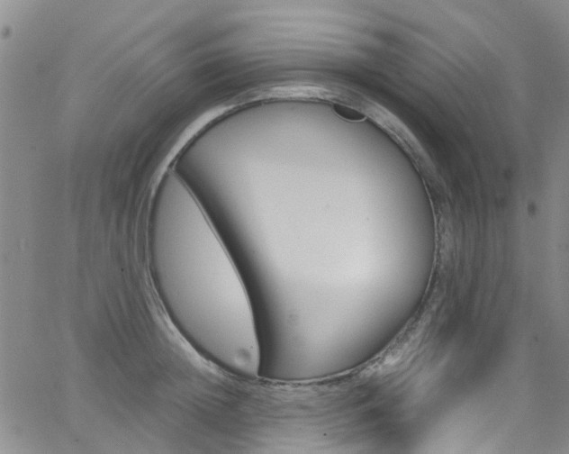 X0000062630852200512210936