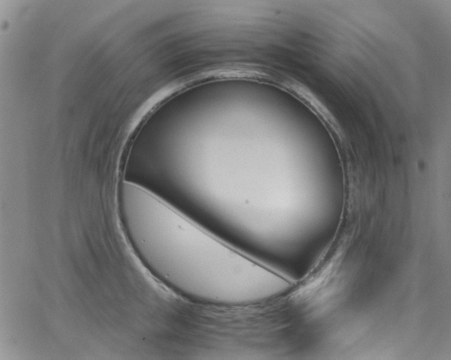 X0000062630853200512210936