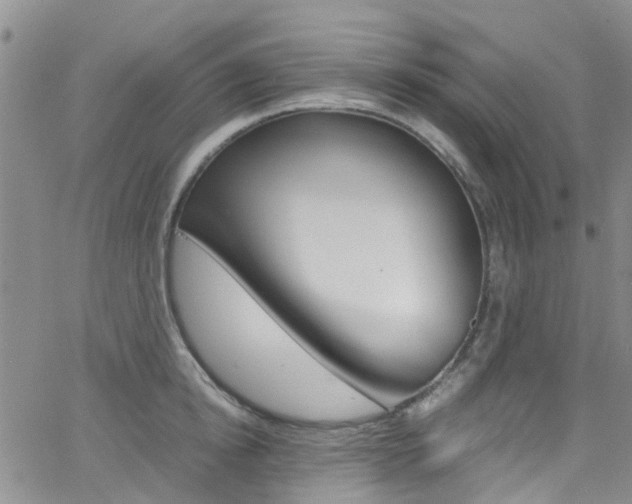 X0000062630854200512210936