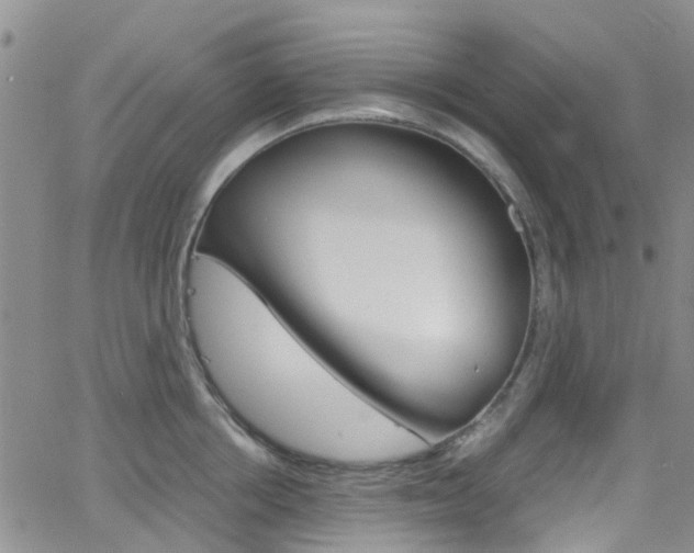 X0000062630858200512210936