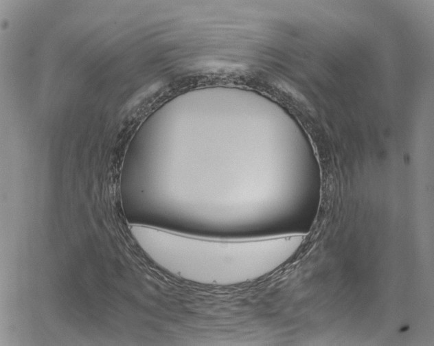 X0000062630869200512210936