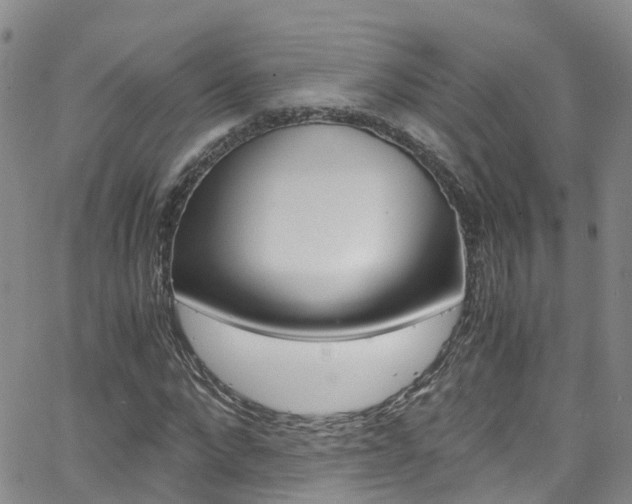 X0000062630872200512210935