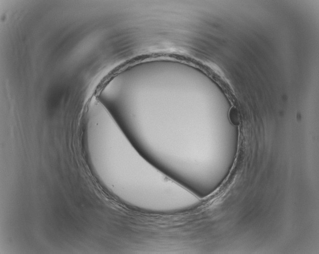 X0000062630879200512210935