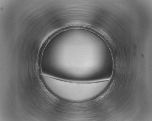 X0000062630880200512210935