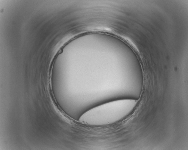 X0000062630895200512210935