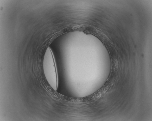 X0000062630914200512210934