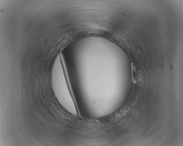 X0000062630916200512210934