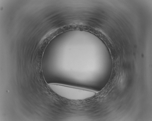X0000062630919200512210934