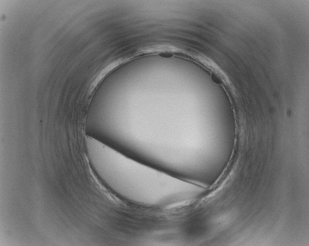 X0000062630945200512210935