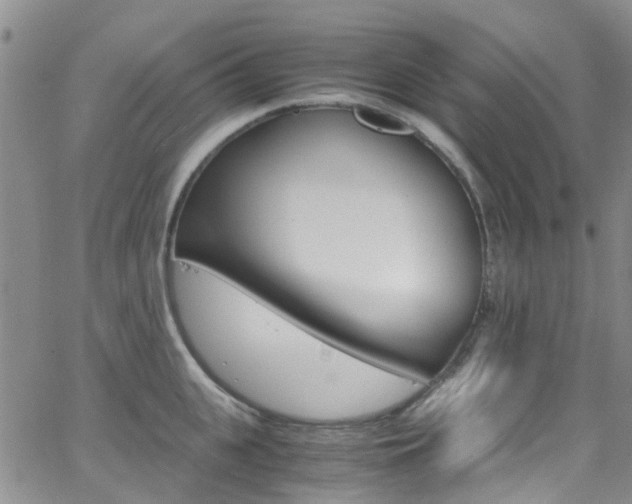 X0000062630951200512210935