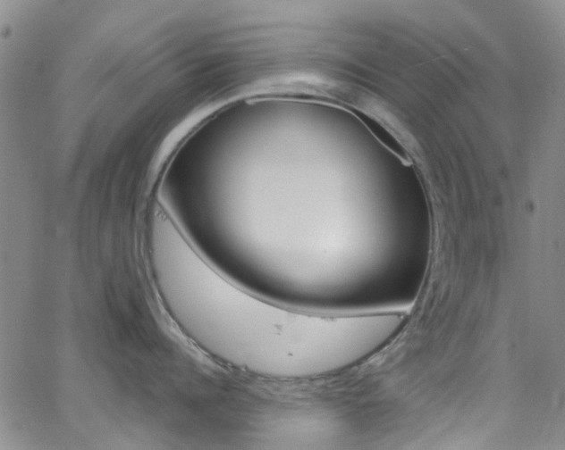 X0000062630960200512210935
