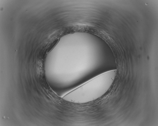 X0000062630964200512210934